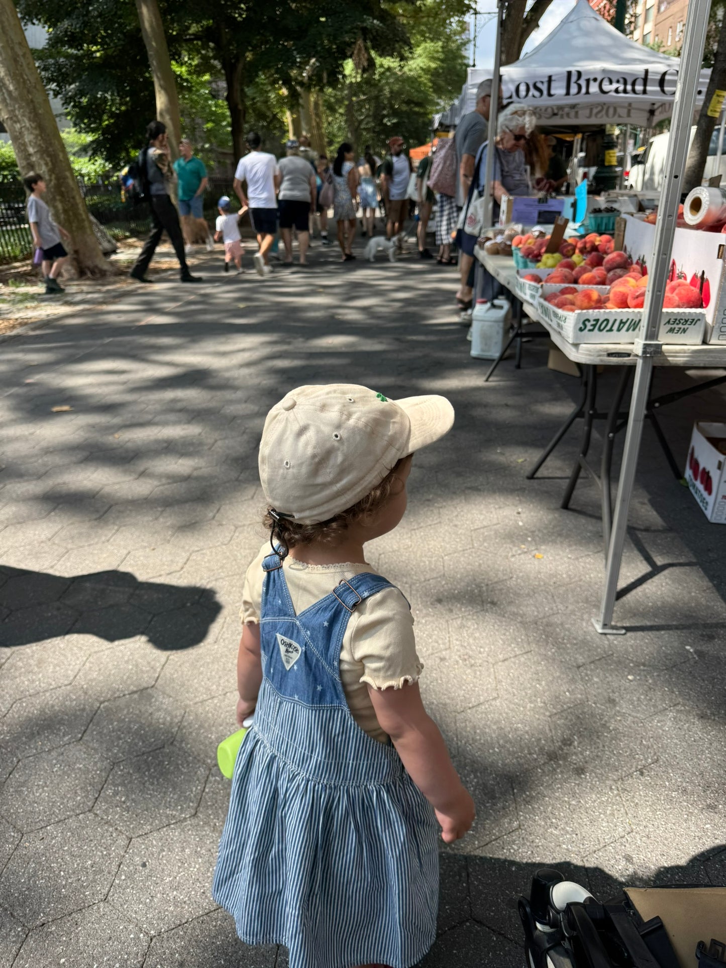 "Farmer's Market Surprise" Baseball Hat for Baby
