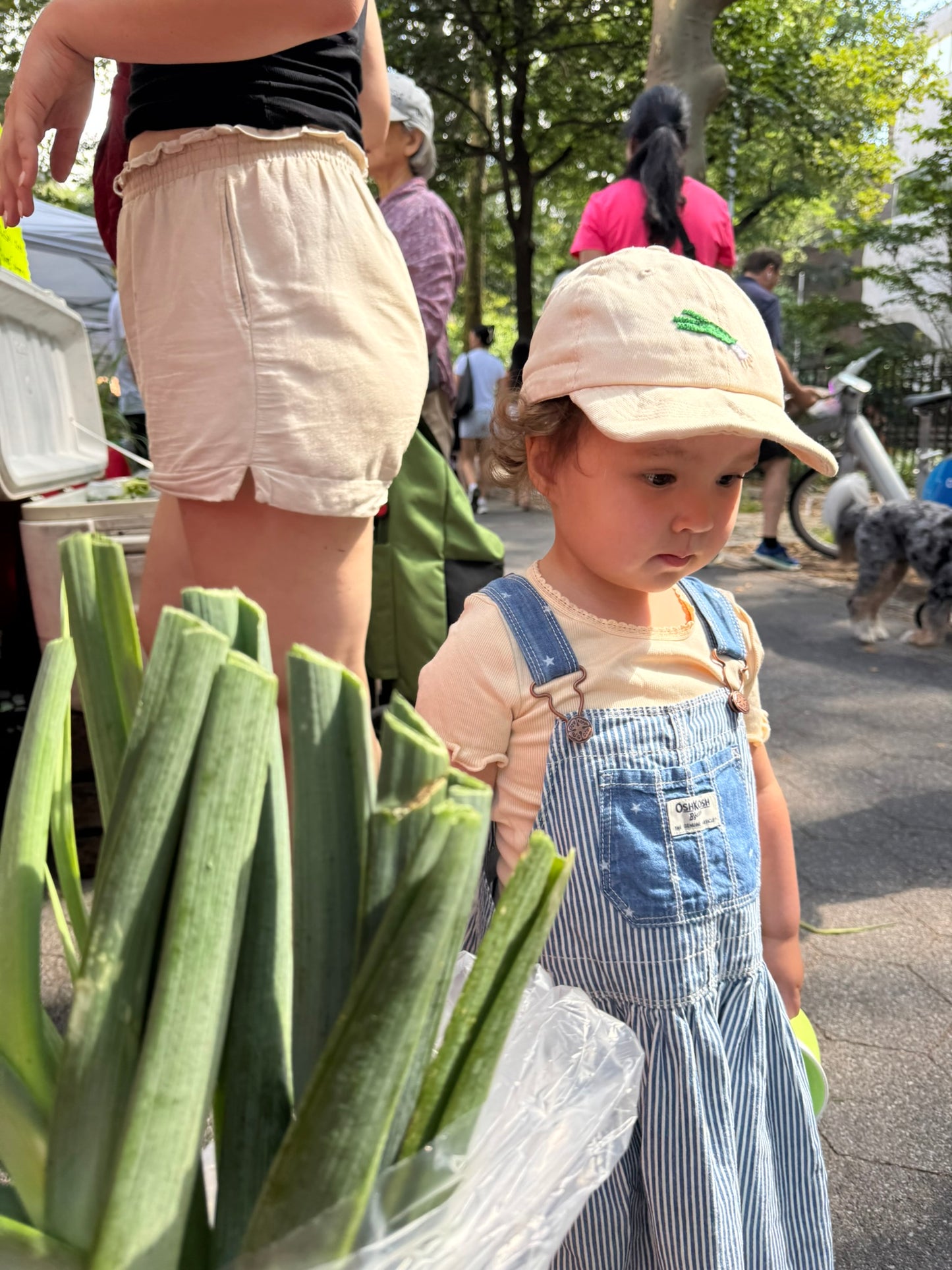 Handmade "Leek" Baseball Hat for Baby